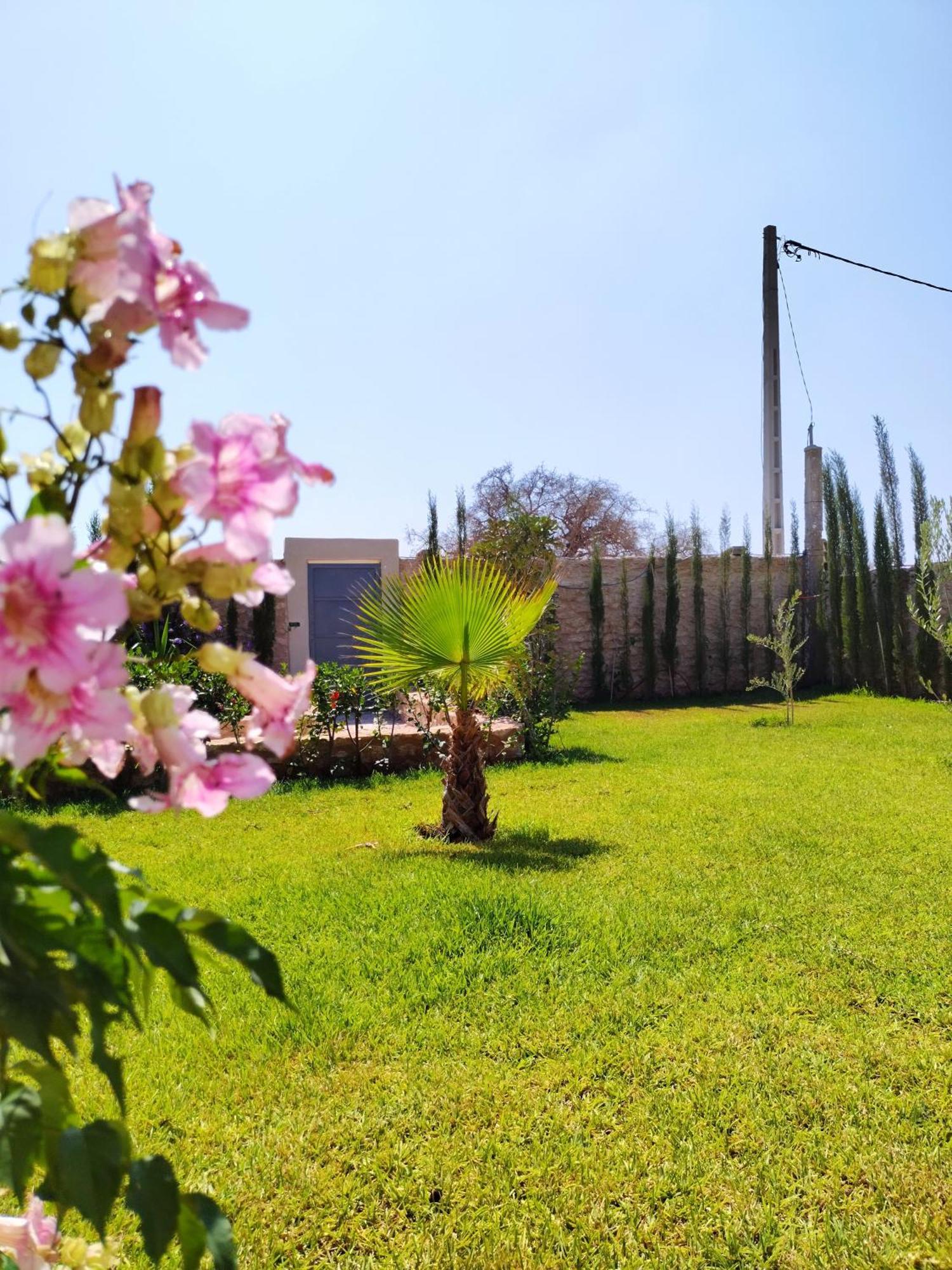 Villa Iyad Εσαουίρα Εξωτερικό φωτογραφία