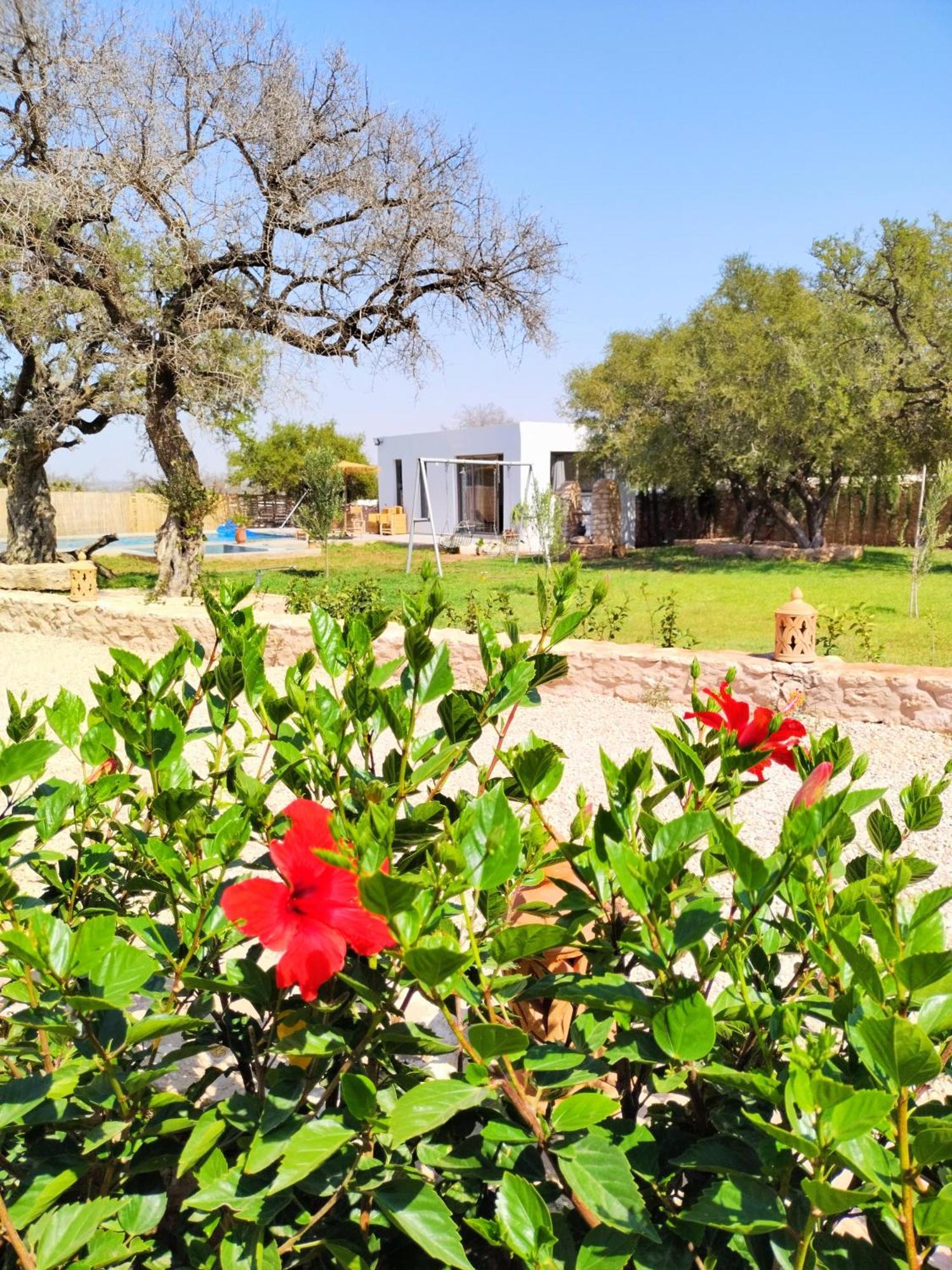 Villa Iyad Εσαουίρα Εξωτερικό φωτογραφία